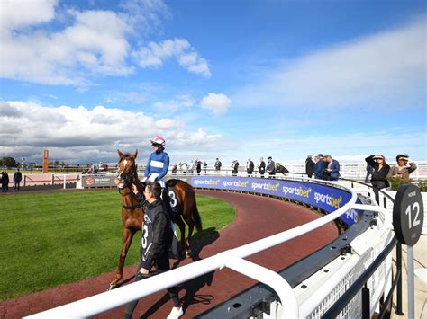 caulfield horse racing today|Rebels call for spill of Melbourne Racing Club board, saying .